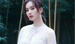 娱乐爆料刘诗诗资源