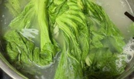 老谭酸菜爆料视频大全,揭秘行业黑幕与真相